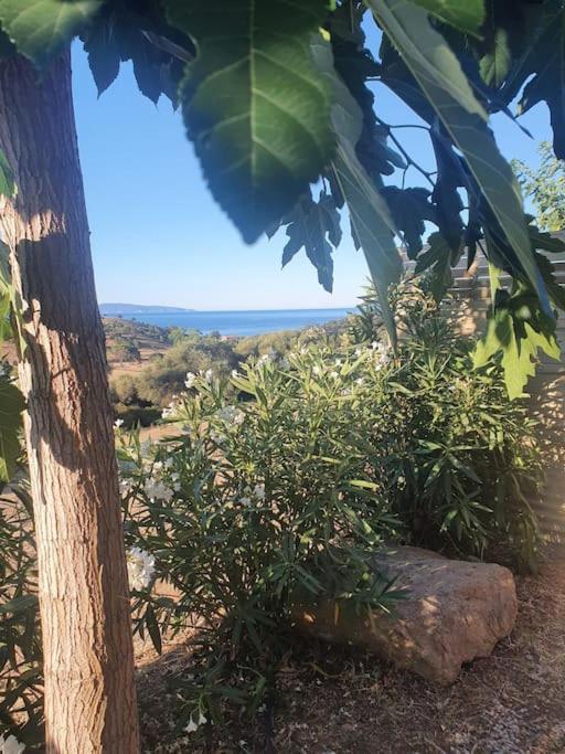 Studio Mitoyen A La Campagne Vue Sur La Mer Cargèse Kültér fotó